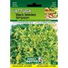 Sementi Dotto Lattuga Black Seeded Simpson (Gentilina)
