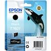 Epson ORIGINAL Epson Cartuccia d'inchiostro Nero (Foto) C13T76014010 T7601 ~4200 Seiten 25,9ml UltraChrome HD