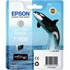 Epson ORIGINAL Epson Cartuccia d'inchiostro lightlightblack C13T76094010 T7609 ~350 Seiten 25,9ml UltraChrome HD