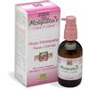 Italchile Mosquetas Rosa + rosa 30 ml - Olio di rosa del Cile