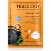 Teaology Face Mask Vitamin C 21 ml