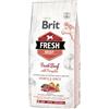 Brit Fresh Puppy Large Manzo con Zucca - 12 kg