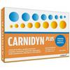 Carnidyn - Carnidyn Plus 20 Bustine Da 5 G Gusto Arancia