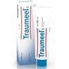 Traumeel S Crema 100 G