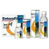 Enterofilus 12 X 10ml
