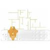 Strisce Misurazione Glicemia Linea D Oro 25 Pezzi