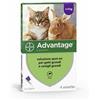 Advantage*4pip 0,8ml Spoton