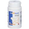 Bioiberica - Impromune 40 compresse - Supporto del Sistema Immunitario per cani e gatti