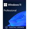 Microsoft Windows 11 Professional