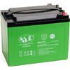 LEOCH LDC12-55 12V 55AH BATTERIA AGM