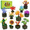 JMBricklayer Kit di Piante Grasse per Adulti 10001 Confezione da 12 Piante Piccole Collezione Botanica Espositore per Decorazione della Stanza Blocchi di Fiori Bonsai Regali per Donne Ragazze