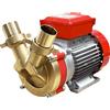 Rover Pompe Rover BE-T 50 - Pompa elettrica da travaso in bronzo - Trifase - 400V