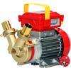 Rover Pompe Rover 35 CE - Pompa elettrica da travaso in bronzo - Monofase - 230V