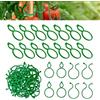 Hyfkjdm 500 Pezzi Giardino Piante Clip, Supporto Pianta Rampicante Clip, Riutilizzabile Clip Per Piante Da Giardino, Clip Piante Rampicanti, Clip Per Piante Fissate, Per Assicurare Le Piante Al Loro Supporto