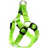 N\X Pettorina per cani in nylon a LED per animali domestici, gatti, cani, collare per cani, illuminazione di sicurezza, imbracatura per cani, collare luminoso di colore fluorescente S verde