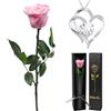 Yamonic Rosa Stabilizzata con Collana Regalo Donna, Vera Rosa Eterna con Steli Idee Regalo per Anniversario, Rosa Eterna Regalo Donna Compleanno, Natale San Valentino Regali per Lei