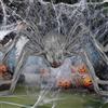 Kinwers Ragno Gigante Halloween,125cm Ragni Finti Decorazioni Halloween Esterno Casa