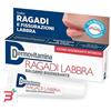 PASQUALI SRL DERMOVITAMINA RAGADI LABBRA BALSAMO RIGENERANTE 8 ML