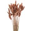 QUARKZMAN 60pz Coda di Coniglio Naturale Fiori Secchi 43cm Mini Erba di Pampa per Decorazioni Floreali Matrimonio Natale, Marrone Rosso Scuro