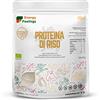 Energy Feelings F Energy Feelings Proteine di Riso in Polvere BIO 500g | 82% Proteine Vegetali | Proteine Vegane per Massa Muscolare e Dimagrire | Senza Zuccheri Aggiunti, Lattosio né Glutine