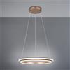 TRIO Leuchten Amador lampada a sospensione, LED, 331010165, Amador [Lampade per Interni > Lampade a Sospensione]
