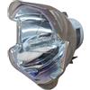 VIEWSONIC RLC-103 LAMPADA USHIO SENZA SUPPORTO (SOLO BULBO)