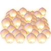 Sisweekly Set di 10 pezzi, lanterna volante cinese tailandese celeste per cielo, biodegradabile, colorata multicolore, pallone ad aria calda Skylantern romantica, Couleur blanc, Confezione da 10