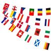 AhfuLife Calcio Europeo Bandiera Ghirlanda, Euro Decorazioni, 8.5m/11m - 24 Bandiere Nazionali di Paesi, Decorazioni per Eurovision, Coppa del Mondo, Bar, Calcio, Ristorante(20 x 28 cm-11m, 1 pezzo)