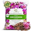 Garten Lux Terriccio per orchidee di alta qualità, 2,5 L-6 componenti, per una crescita sana e una cura ottimale delle vostre piante di orchidea. Substrato ideale per tutti i tipi di orchidee