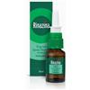 GLAXOSMITHKLINE C.HEALTH.Srl Rinazina 1 Mg/Ml - 100 Mg/100 Ml Spray Nasale Soluzione Flacone 15 Ml