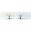 DKD Home Decor Telaio, Standard