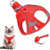 Generico Imbracatura Antifuga per Gatti | Imbracatura Regolabile A Pettorina Per Gatti - Accessori per Animali Collare per Cuccioli Taglie Piccola Media Grande Viaggio Escursionismo