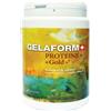 BIO-GESTION SA GELAFORM COLLAGEN+GOLD 360G