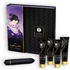 SHUNGA Kit erotico per la coppia Naughty Geisha