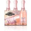 Sant'Orsola Prosecco DOC Millesimato Rosè cl20 Cf. 3 Bottiglie