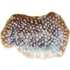 Tognana 30x20 cm - Reef Piatto Vassoio Rettangolare In Porcellana - Set 6 Pz