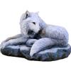 ‎Nemesis Now Nemesis Now Guardian of The North Lisa Parker Figurine 19.5cm White, Resin