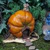 Top Collection Enchanted Story Garden e terrario Pumpkin Fairy House Outdoor Decor