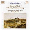 NAXOS Settimino Op.20, Quintetto X 3 Corn