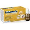 Vitalmix Pappa Reale 10 flaconcini da 10 ml
