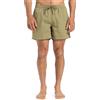 Quiksilver Everyday Beach Volley 15 Pantaloncini da tavola Uomo