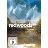PRO-FUN MEDIA Redwoods (OmU)
