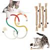 YUZHEDM 6 Pezzi Bastoncini Erba Gatta per Gatti Erba Gatta Corda Dentale per Bastoncini Gatta per Giocattolo Interattivo da Masticare per in Colori per Gattini Pulizia dei Denti
