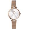Alviero Martini Prima Classe Orologio Solo Tempo Donna classico cod. CS4957L/03M