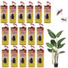 LYPER 16 trappole adesive per mosche, strisce adesive gialle, per interni, per combattere le mosche della frutta (16, giallo)