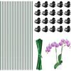 Eclove 20 Pezzi Tutor per Orchidee in Acciaio Inox Pieghevole,20 fascette, 20 clip per orchidee, Supporti 40 cm per Piante Sostegni Ruggine per, Piante Rampicanti Interno Esterno