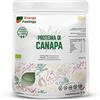 Energy Feelings F Energy Feelings Proteine di Canapa in Polvere BIO 1 Kg / 50% Proteine Vegetali / Proteine Vegane per Massa Muscolare e Dimagrire / Senza Zuccheri Aggiunti, Lattosio né Glutine
