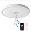 AIHONKON Lampada da soffitto LED intelligente impermeabile con altoparlante Bluetooth, funzione RGB, illuminazione regolabile, controllo tramite l'app Tuya, compatibile con Alexa e Google Home