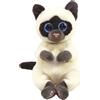 Ty Bellies - miso il gatto siamese bianco e marrone con occhi azzurri grandi e gli -3+ -