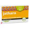 VIRYA ITALIANA SAS JATHARA VIRYA 60 COMPRESSE 500MG